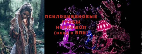 ГАЛЛЮЦИНОГЕННЫЕ ГРИБЫ Абдулино