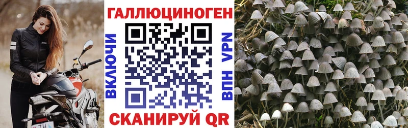 Галлюциногенные грибы прущие грибы  где можно купить наркотик  Алапаевск 